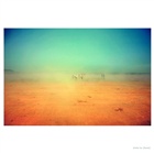 dailyPhoto4
